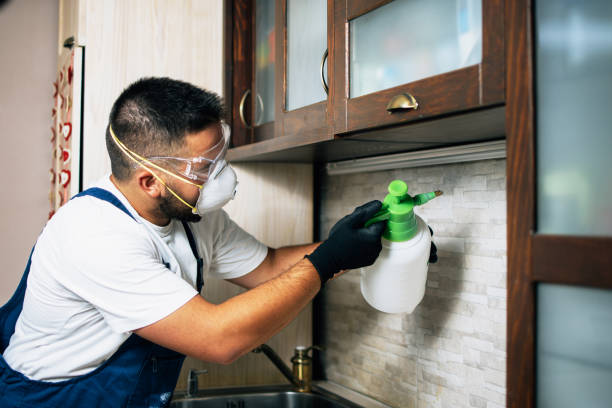 Best Best Pest Control Companies  in Worland, WY