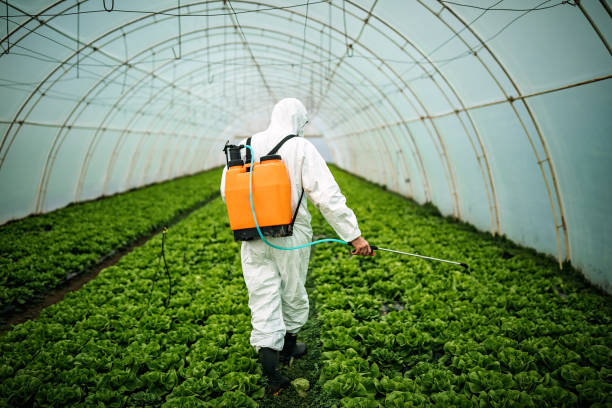Best Mosquito Control Services  in Worland, WY