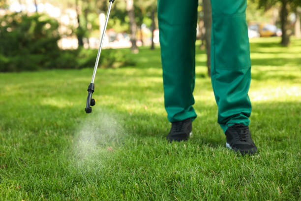 Best Pest Removal Services  in Worland, WY