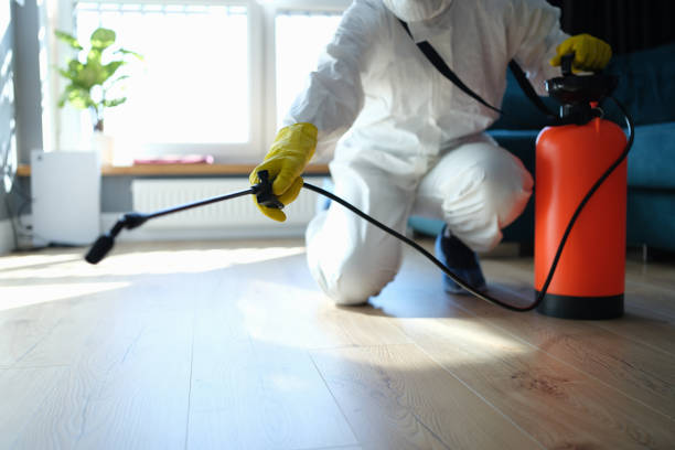 Best Wasp Removal Services  in Worland, WY