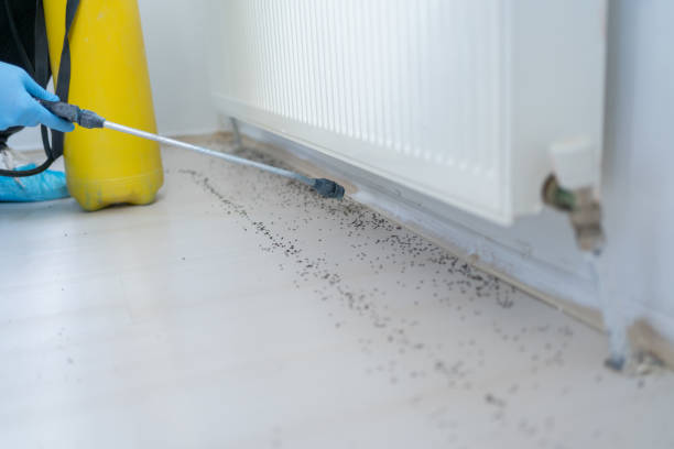 Best Ant Control Services  in Worland, WY