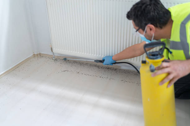 Professional Pest Control in Worland, WY