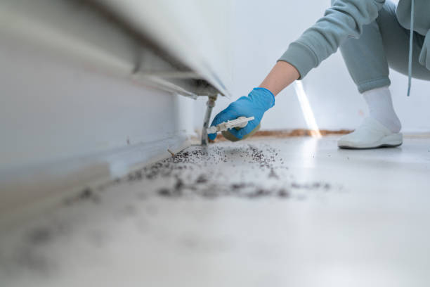 Best Rat Extermination Near Me  in Worland, WY